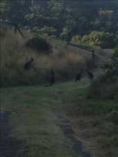 by maxvedder, Views[295]