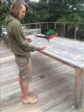 by maxvedder, Views[282]