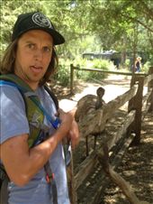 by maxvedder, Views[182]