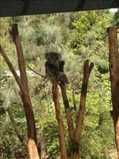 by maxvedder, Views[307]