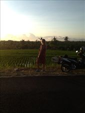 by maxvedder, Views[199]