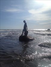 by maxvedder, Views[164]