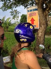 by maxvedder, Views[176]