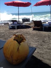 by maxvedder, Views[252]