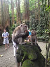 by maxvedder, Views[229]