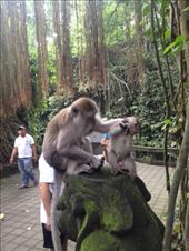 by maxvedder, Views[182]