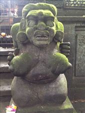 by maxvedder, Views[169]