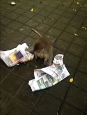 by maxvedder, Views[176]