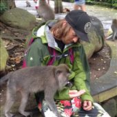 by maxvedder, Views[137]