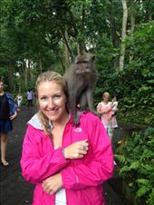 by maxvedder, Views[184]