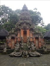 by maxvedder, Views[157]