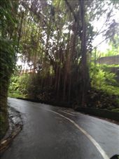 by maxvedder, Views[191]