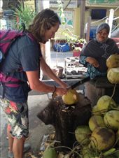 by maxvedder, Views[176]