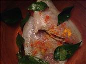Thats the aiyal/mackerel looking all pretty: by mayank07, Views[313]