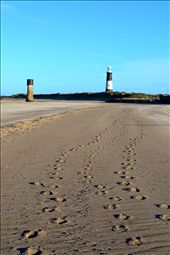 Coming to an End: by mayo, Views[184]