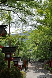A big hike up and around Kurama, Kyoto.: by mayshi, Views[193]
