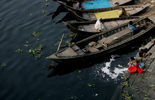 The Buriganga river has been transformed to a drain due to various human activities. Human-induced substances like detergents, disinfection by-products, polythene, cosmetic products, food processing waste, chemical waste and other debris contaminate the water. The pollution often causes toxic algal blooms, which reduces oxygen levels in the murky river,disrupting aquatic life and depleting almost all species of fish. The river is now considered to be biologically dead.