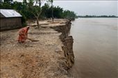 Swept into uncertainty - A woman engages in her routine brooming of the backyard, with the hope in her heart that tomorrow her homestead survives the violent riverbank erosion of the Teesta, in the massively affected Choyghoria village in Gaibandha district, Bangladesh.: by mayurakshi, Views[1080]