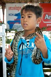 by mcbrazil, Views[141]