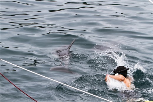 One of the main reasons for tourists take the trip today is the highly advertised 