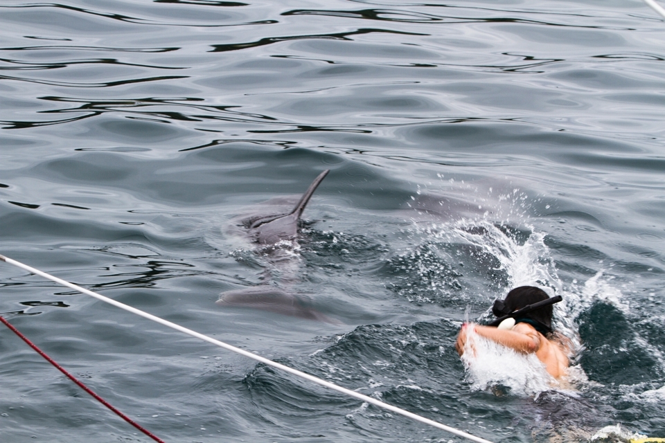 One of the main reasons for tourists take the trip today is the highly advertised 