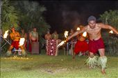 Samoan culture is highly social and here the use of the coconut tree leaves can be seen used for leg and neck decorations for the dancers and musicians performing the traditional fire dance at the end of an evenings meal and entertainment.: by mcw, Views[2391]