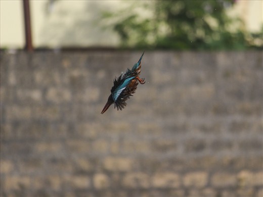 Missile Attack-This pic describes how king of 