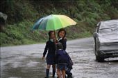 Joy in the drizzle. Happiness in their blood. : by meetnotrhindia, Views[223]