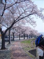 by megandrob, Views[987]