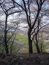 by megandrob, Views[200]