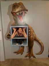 by megandrob, Views[320]