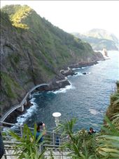 by megandrob, Views[164]