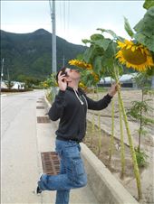 by megandrob, Views[203]