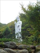 by megandrob, Views[173]