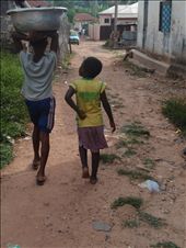 by megleighmc, Views[131]