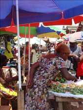 by megleighmc, Views[135]