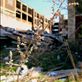 A sprig of hope remains in this lonesome Detroit base.: by megwill, Views[243]