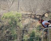 by mekikepilala, Views[239]