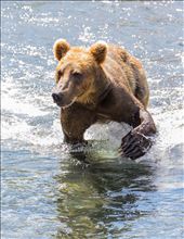 by mekikepilala, Views[781]