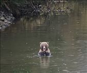 by mekikepilala, Views[357]