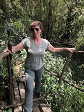 by mekikepilala, Views[233]