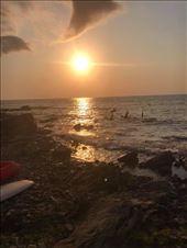 by mekikepilala, Views[186]