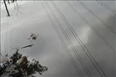 Water systems are treated like open sewers rather than an endangered ecosystem.: by meldavis, Views[283]