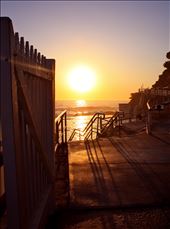 Sunrise Swim: by meljs17, Views[272]