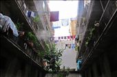 Mystic backyard: watching behind the curtains of a theater play, an ensemble.: by melody, Views[232]