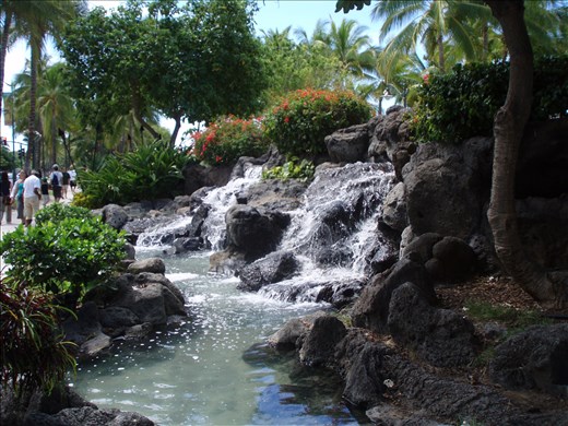 Hawaii small waterfall
