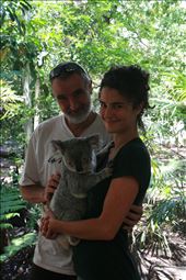 Koala baby!: by mengler13, Views[311]