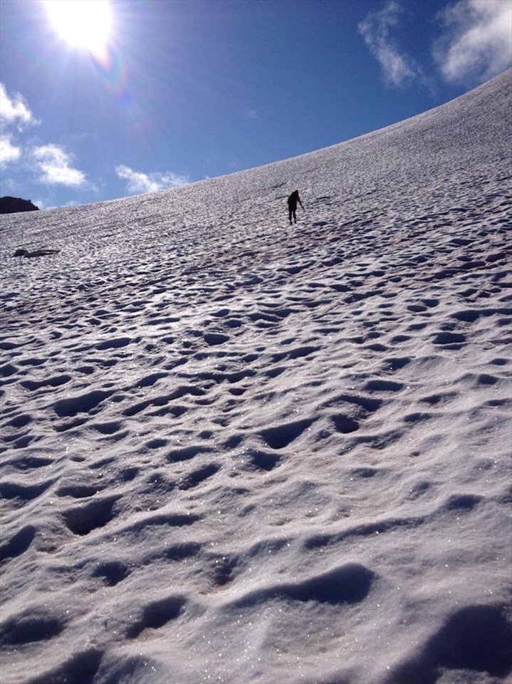 Erik Halfacre traverses the top of Snowbird Glacier ice axe in hand. 