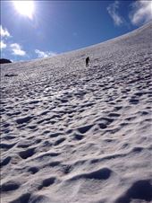 Erik Halfacre traverses the top of Snowbird Glacier ice axe in hand. : by meranda-carter, Views[486]
