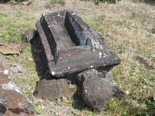 Turtle with sarcophagus 